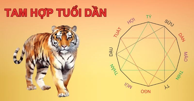 Người tuổi Thìn