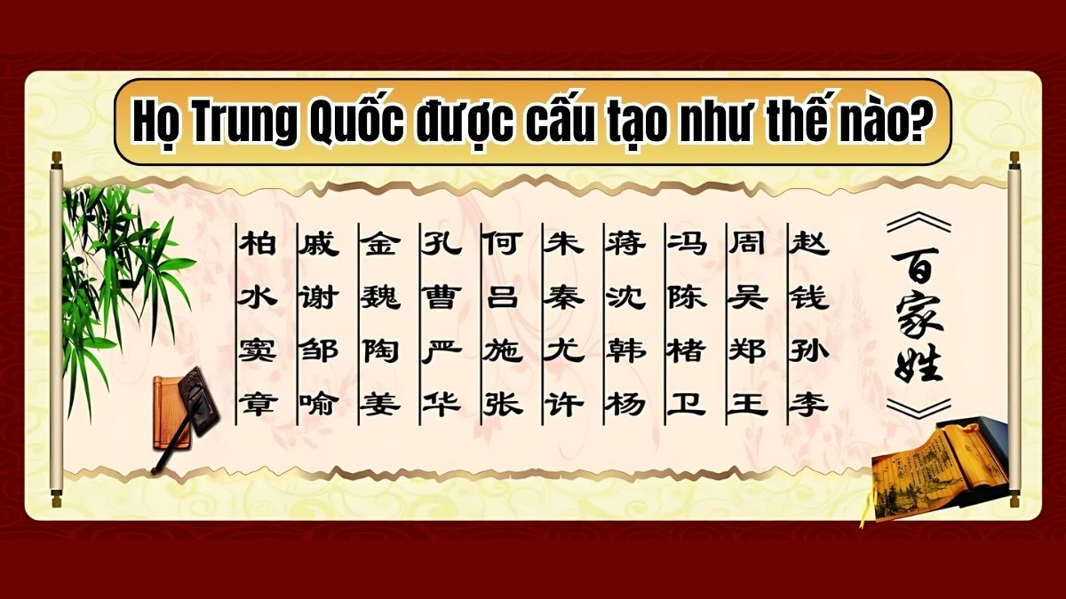 Họ Trung Quốc - Mạng lưới xã hội