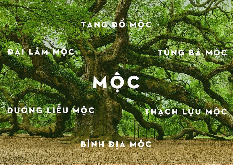 Bảng màu phong thủy hợp tuổi, hợp mệnh theo Ngũ hành