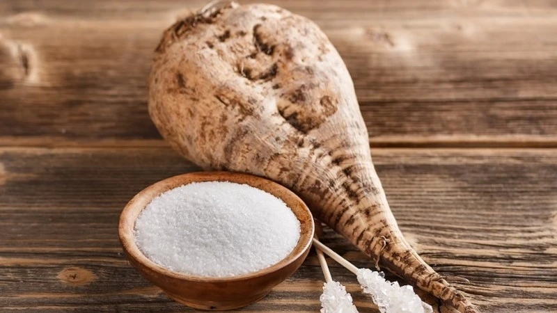 Củ cải đường (sugar beet) là gì? Cách phân biệt với củ cải trắng, củ dền