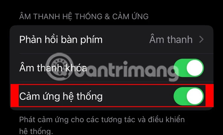 Hướng dẫn cài đặt rung iPhone hiệu quả