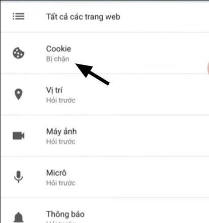 Cách bật cookie Liên Quân, cách tắt/bật cookie trên iPhone