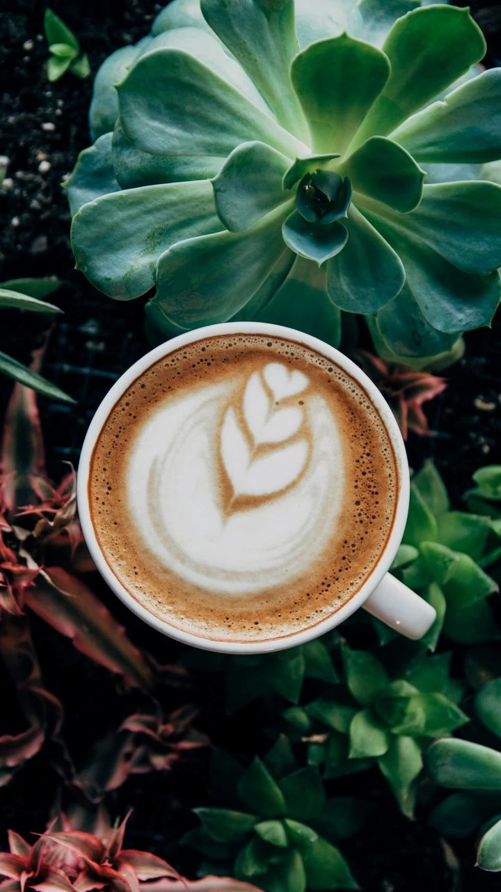 99+ Hình Ảnh Ngồi Uống Cafe 1 Mình, Suy Tư, Tâm Trạng