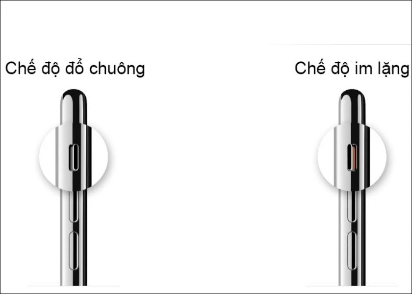 Cách tắt chế độ im lặng trên iPhone nhanh chóng trong tích tắc