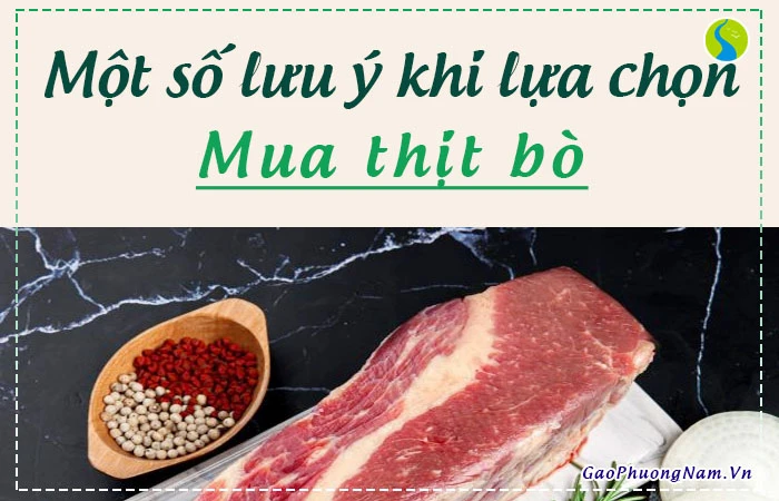 Cách Nấu Bò Kho Bằng Gói Gia Vị Cực Kỳ Đơn Giản