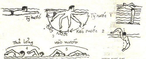Cách bơi sải đúng kỹ thuật, đúng phương pháp