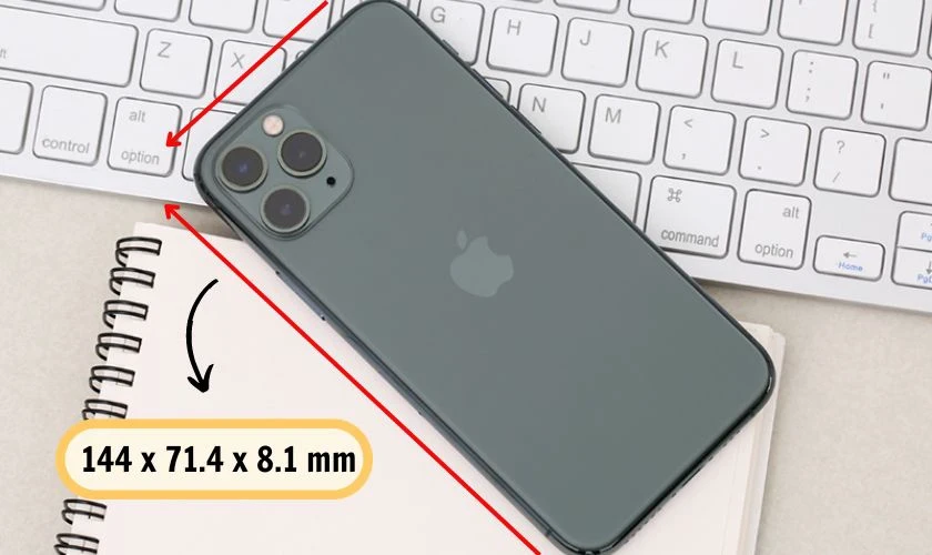 So sánh kích thước iPhone 11, iPhone 11 Pro, iPhone 11 Pro Max